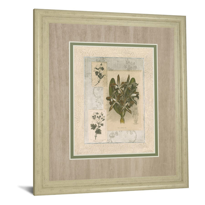 Classy Living Orchid Elegance Wall Art Double Mat 34"x40", Ivory Bliss