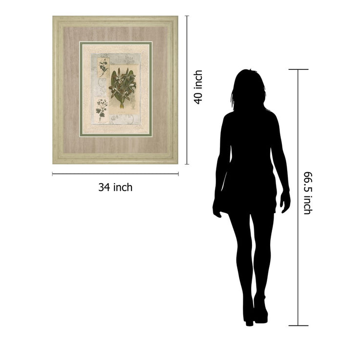 Classy Living Orchid Elegance Wall Art Double Mat 34"x40", Ivory Bliss