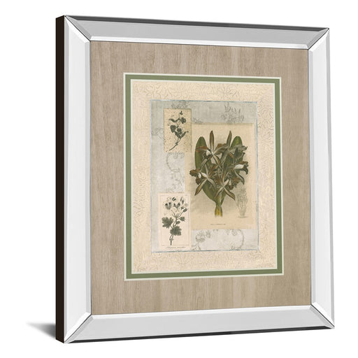 Classy Living Orchid Elegance Wall Art 34"x40", Mirrored