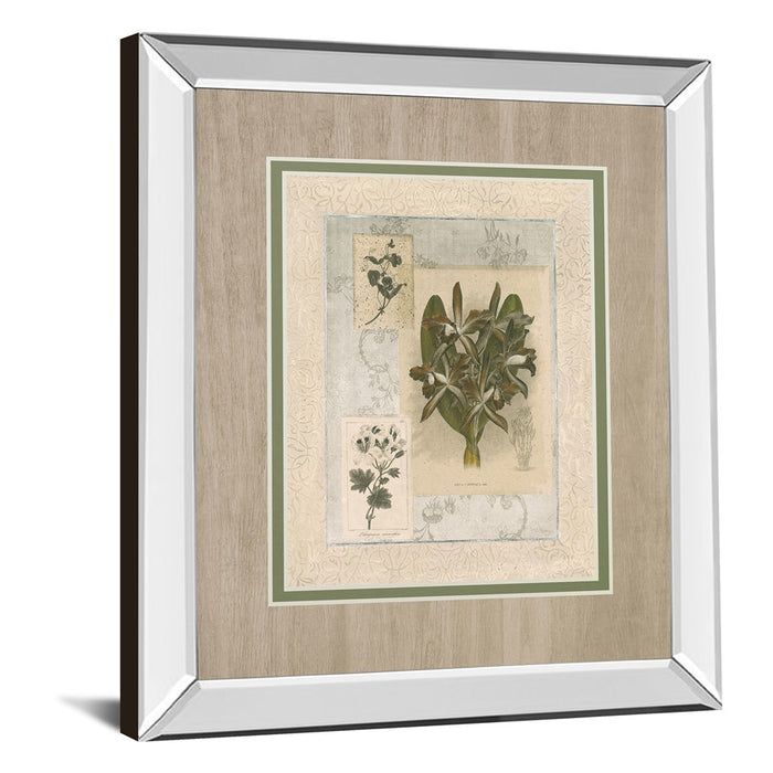 Classy Living Orchid Elegance Wall Art 34"x40", Mirrored