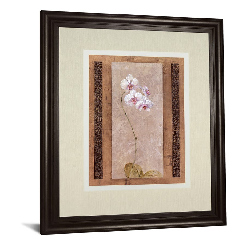 Classy Living Delicate Blossom Wall Art Double Mat 34"x40", Chocolate
