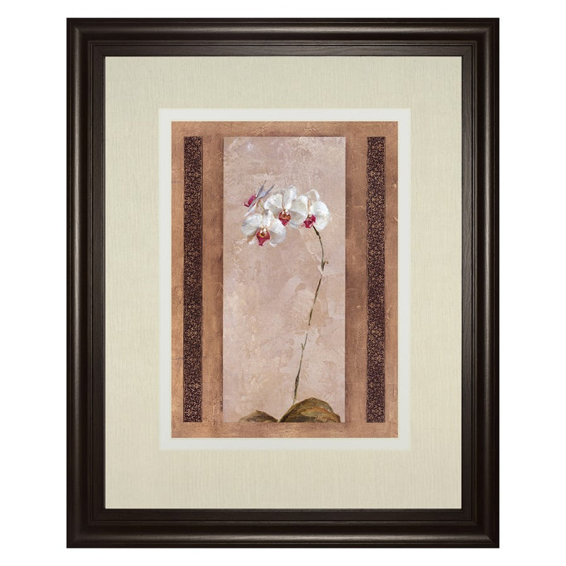 Classy Living Elegant Orchid Wall Art Double Mat 34"x40", Chocolate