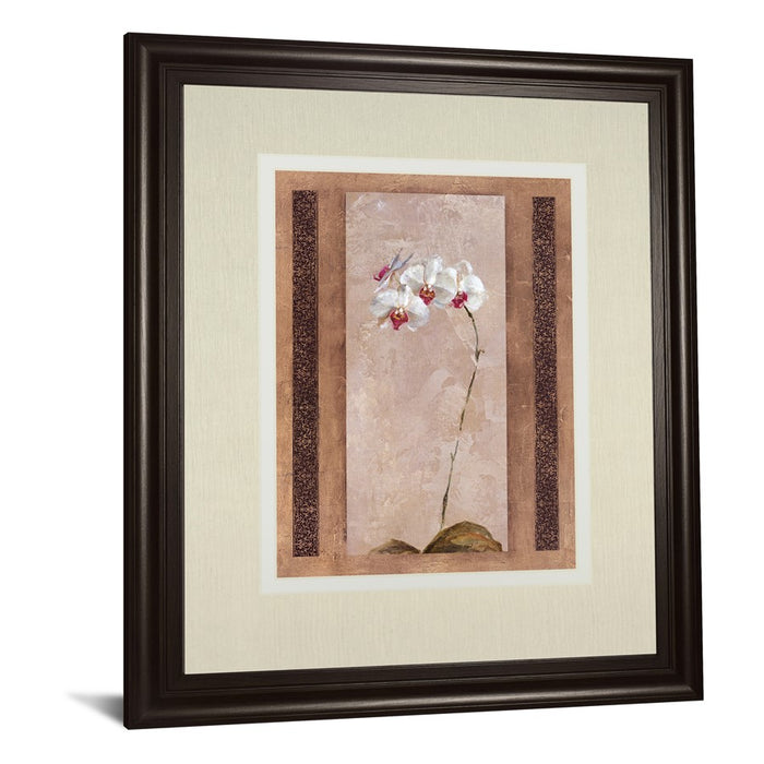 Classy Living Elegant Orchid Wall Art Double Mat 34"x40", Chocolate