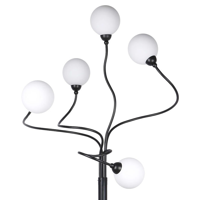 Classy Living Celestial Branch 5Lt Floor Lamp, Gold, Black/Frosted White