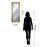 Classy Living Traditional Elegance Wall Mirror 18"x42", GiIded Radiance