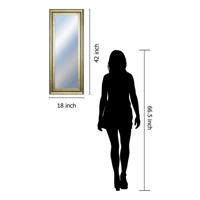 Classy Living Traditional Elegance Wall Mirror 18"x42", Soft Gold Frame