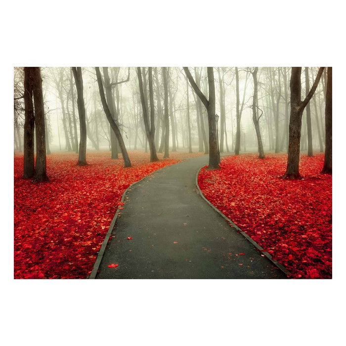 Classy Living Autumn Road Frameless Glass Wall Art 60"x40", Red