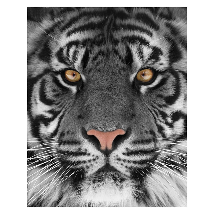 Classy Living Eye of the Tigerless Glass Wall Art 40"x60", Multi