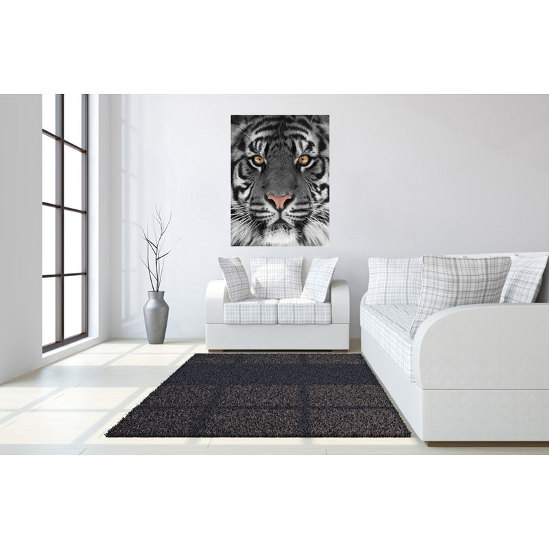 Classy Living Eye of the Tigerless Glass Wall Art 40"x60", Multi