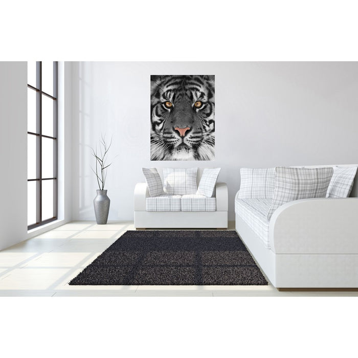 Classy Living Eye of the Tigerless Glass Wall Art 40"x60", Multi