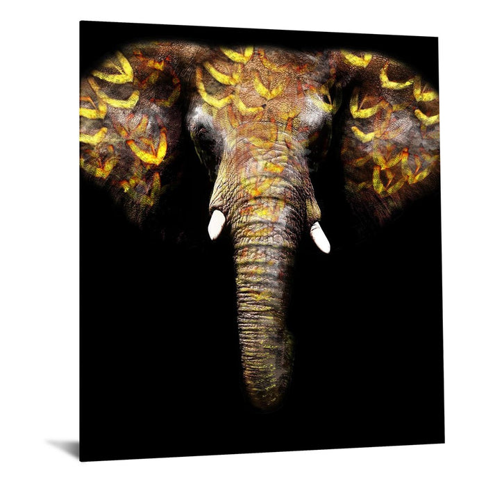Classy Living Gold Tribal Elephantless Glass Wall Art 40"x60", Multi