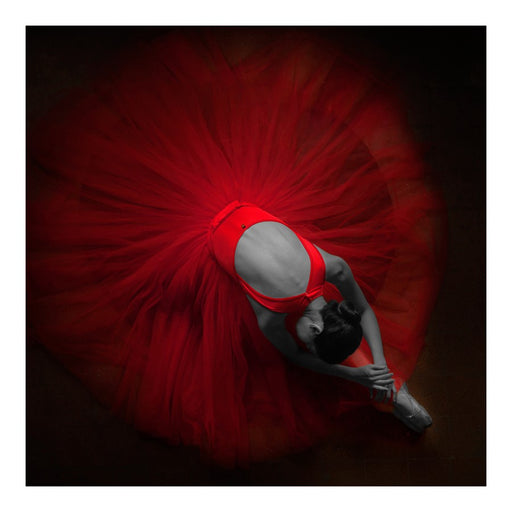 Classy Living Velvet Rehearsalless Tempered Glass Wall Art 50"x50", Red - SF1231