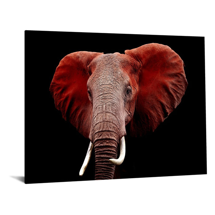 Classy Living Red Elephant Frameless Glass Wall Art 60"x40", Multi