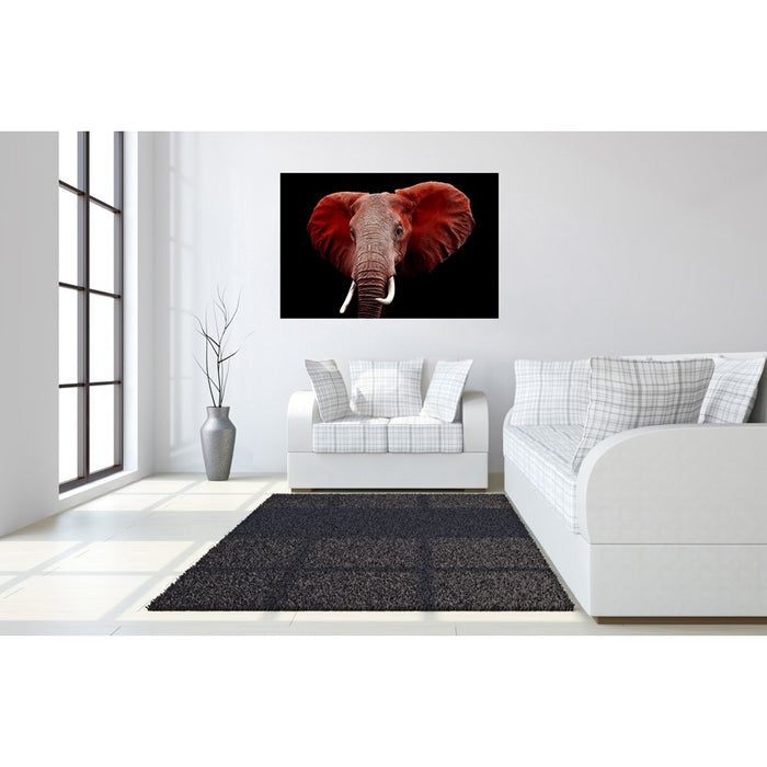 Classy Living Red Elephant Frameless Glass Wall Art 60"x40", Multi