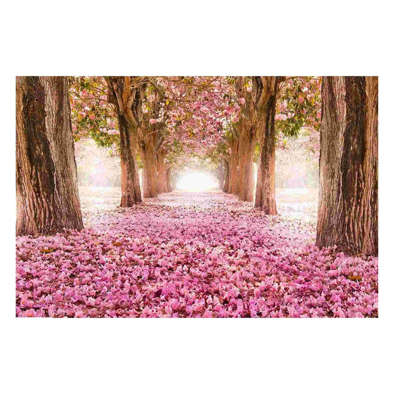 Classy Living Pink Cherry Blossomless Glass Wall Art 60"x40", Pink