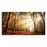 Classy Living Sunlight in Woodsless Glass Wall Art 60"x40", Multi