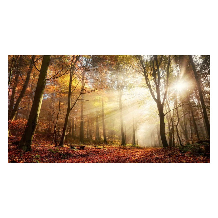 Classy Living Sunlight in Woodsless Glass Wall Art 60"x40", Multi