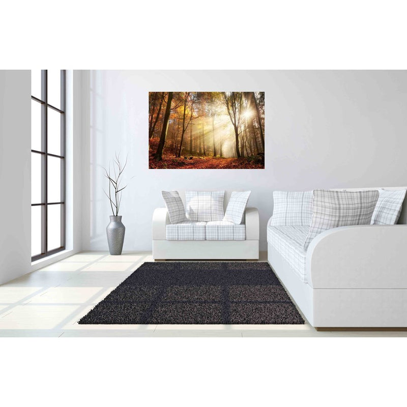 Classy Living Sunlight in Woodsless Glass Wall Art 60"x40", Multi