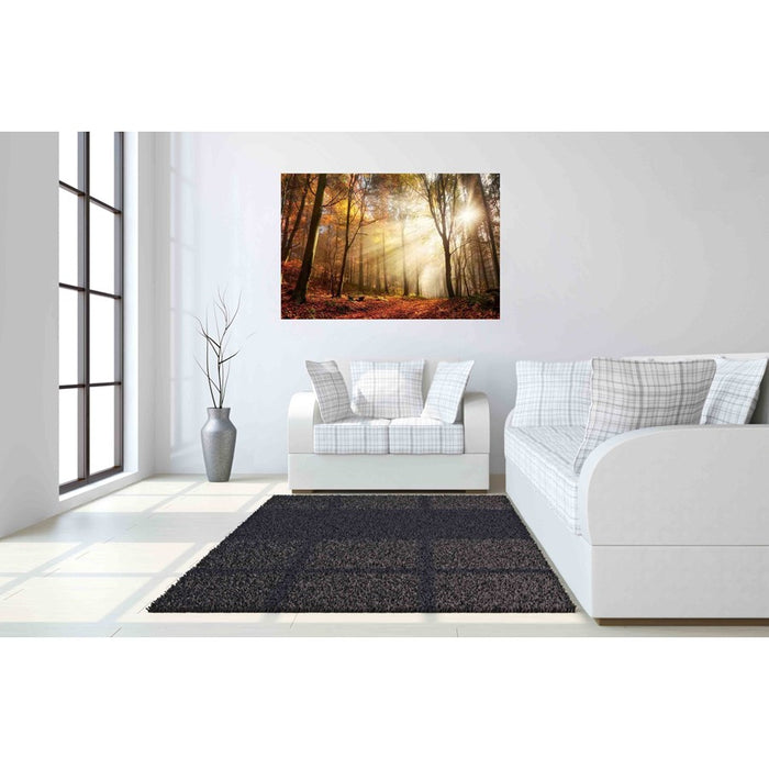 Classy Living Sunlight in Woodsless Glass Wall Art 60"x40", Multi