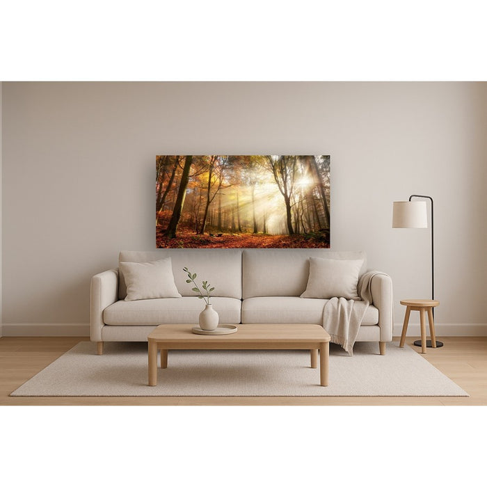 Classy Living Sunlight in Woodsless Glass Wall Art 60"x40", Multi