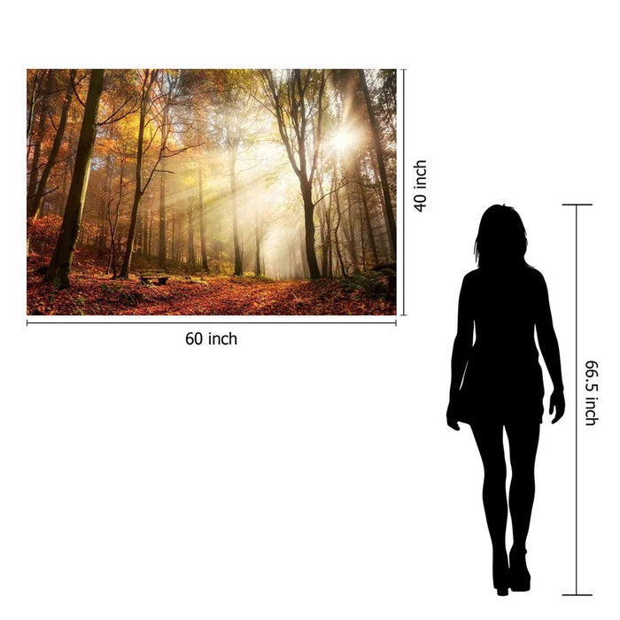 Classy Living Sunlight in Woodsless Glass Wall Art 60"x40", Multi