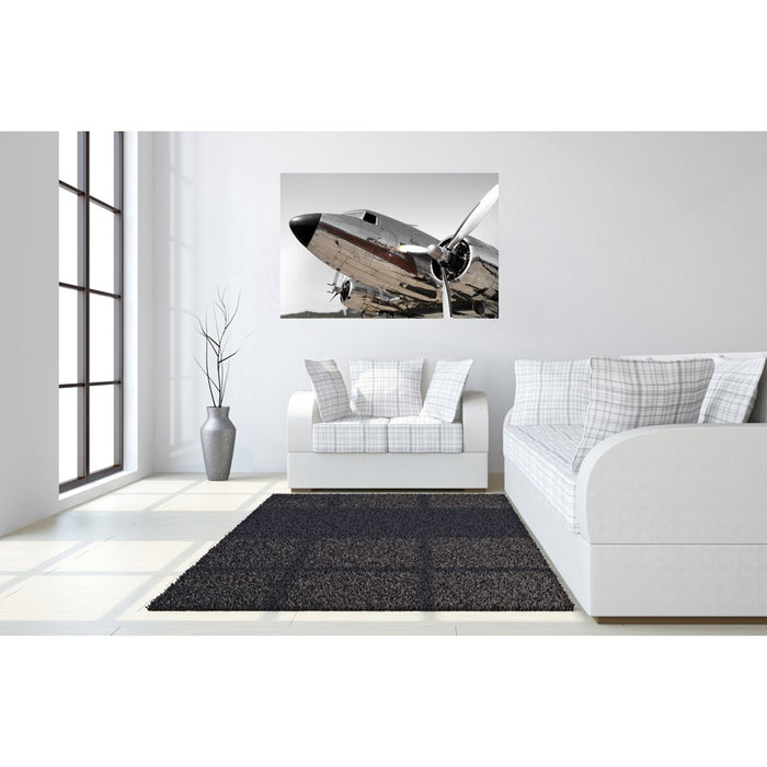 Classy Living Chrome Aircraft Frameless Glass Wall Art 60"x40", Silver