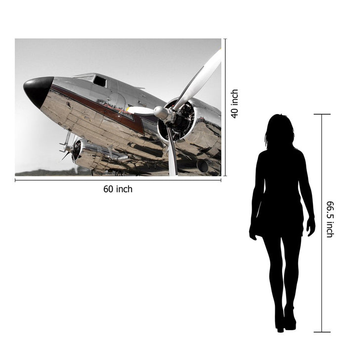 Classy Living Chrome Aircraft Frameless Glass Wall Art 60"x40", Silver