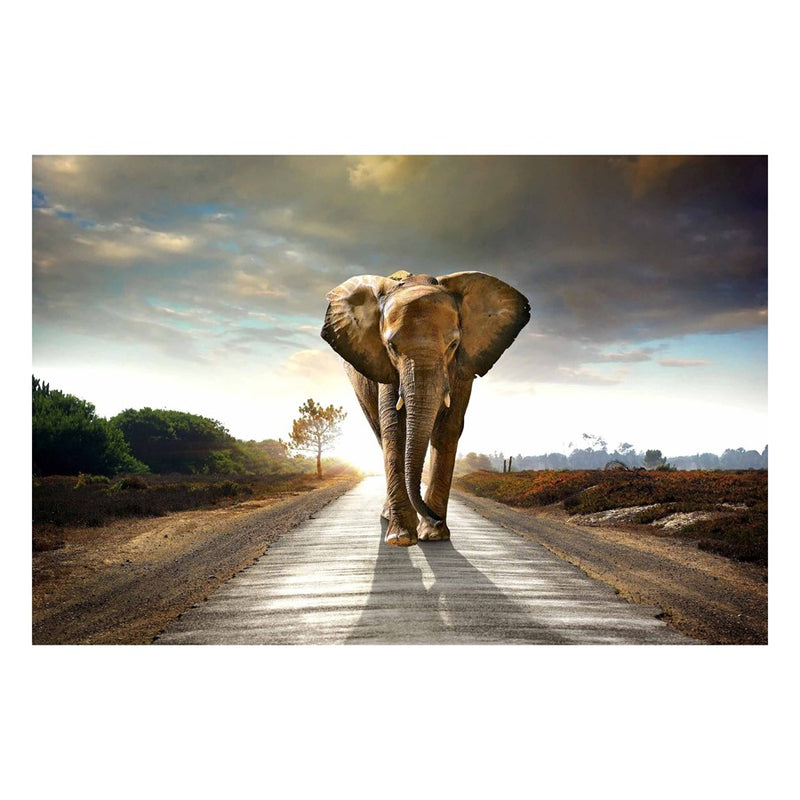Classy Living Elephant Journeyless Glass Wall Art 60"x40", Multi