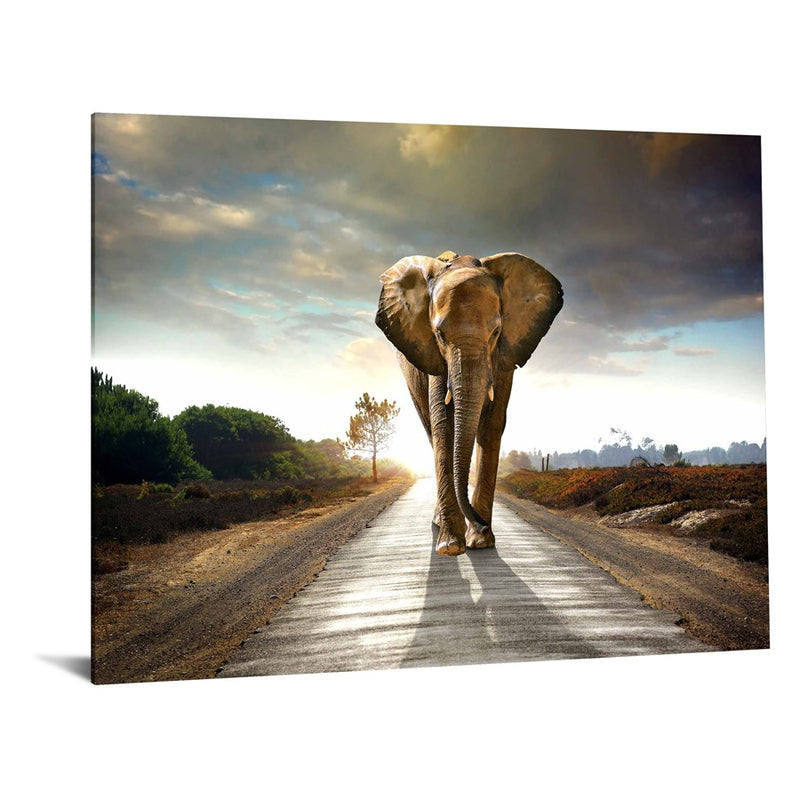 Classy Living Elephant Journeyless Glass Wall Art 60"x40", Multi