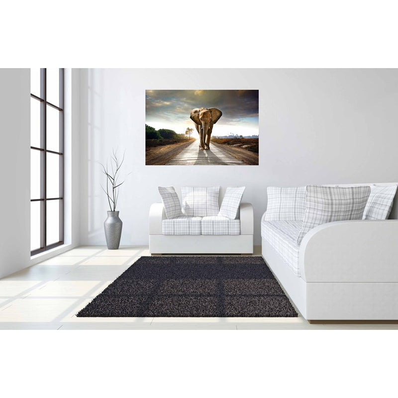 Classy Living Elephant Journeyless Glass Wall Art 60"x40", Multi