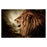 Classy Living Hear me Roar Frameless Glass Wall Art 60"x40", Multi