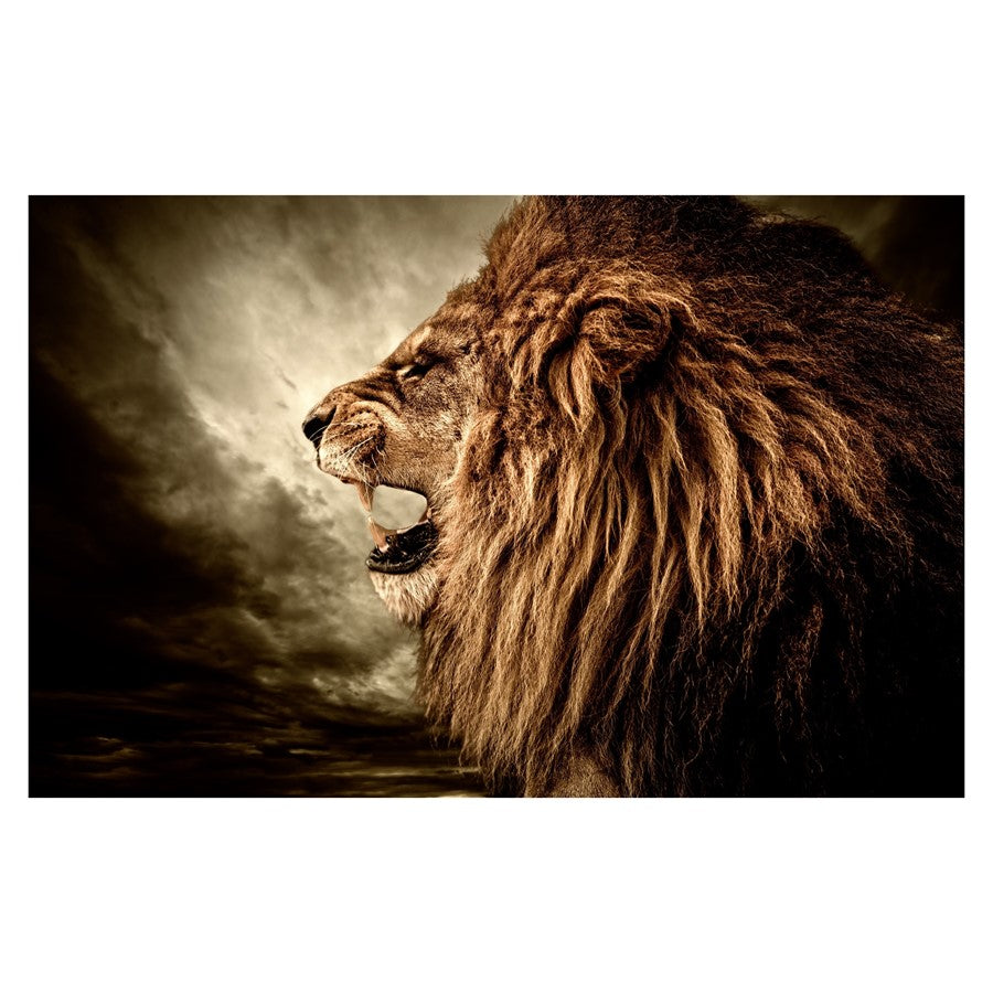 Classy Living Hear me Roar Frameless Glass Wall Art 60"x40", Multi