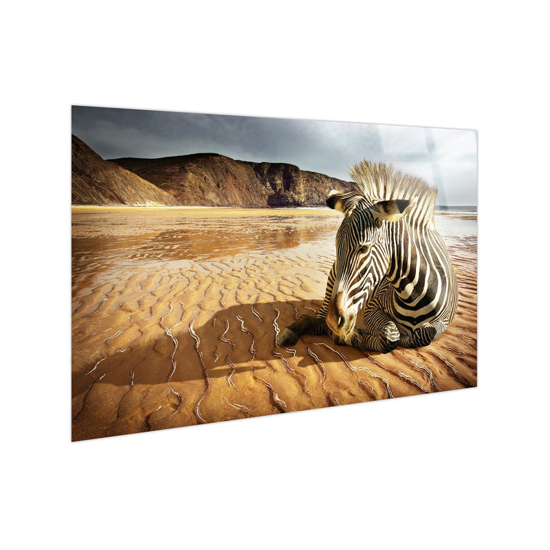 Classy Living Untamed Striped Respite 40"x60", Black/White/Tan/Brown