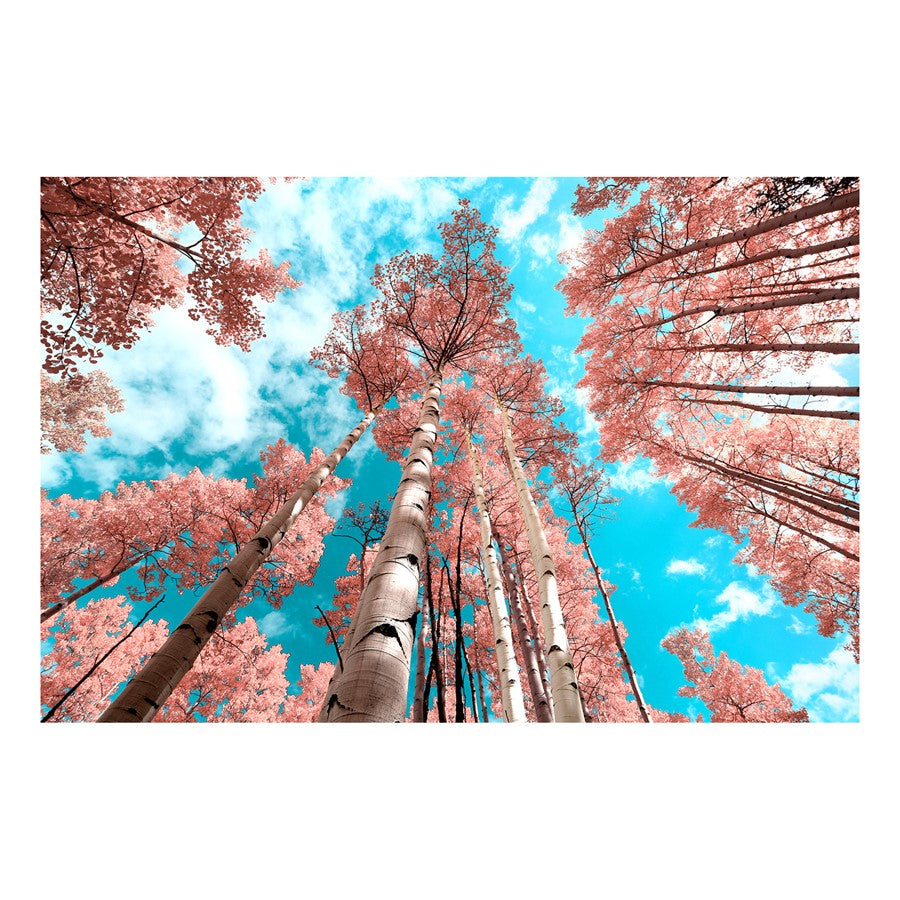 Classy Living Cherry Blossom Heightsless Glass Wall Art 60"x40", Multi - SF1372