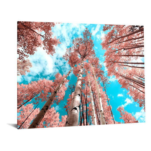 Classy Living Cherry Blossom Heightsless Glass Wall Art 60"x40", Multi