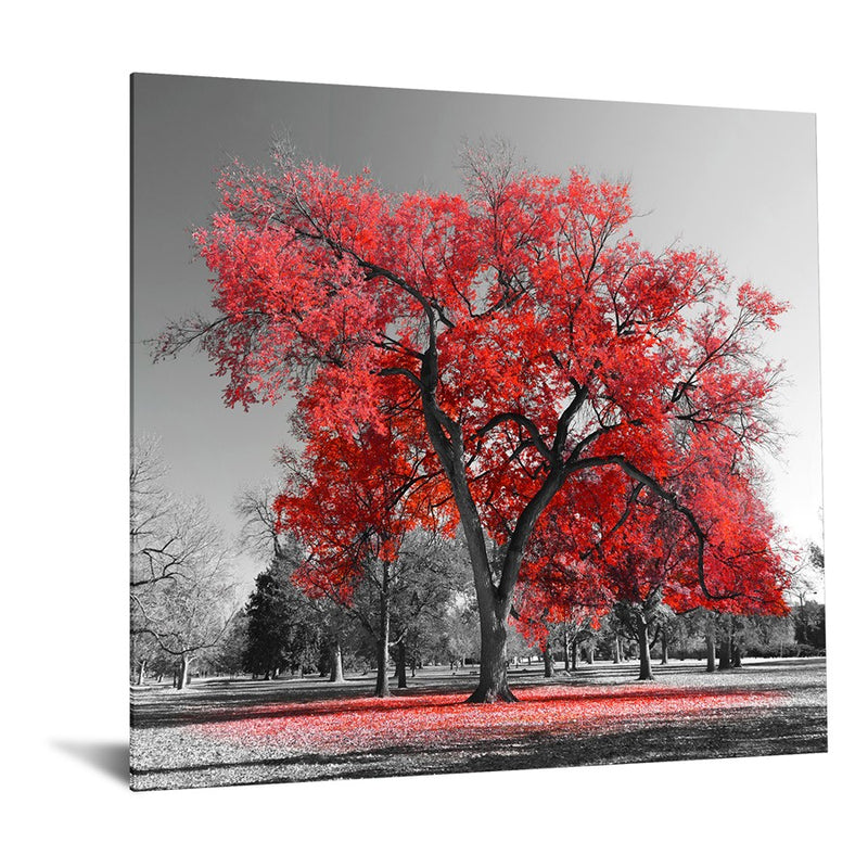 Classy Living Red Oak Frameless Tempered Glass Wall Art 50"x50", Red