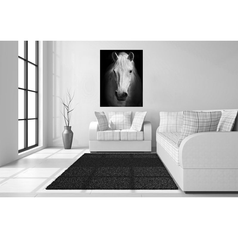 Classy Living White Horse Frameless Glass Wall Art 40"x60", Black