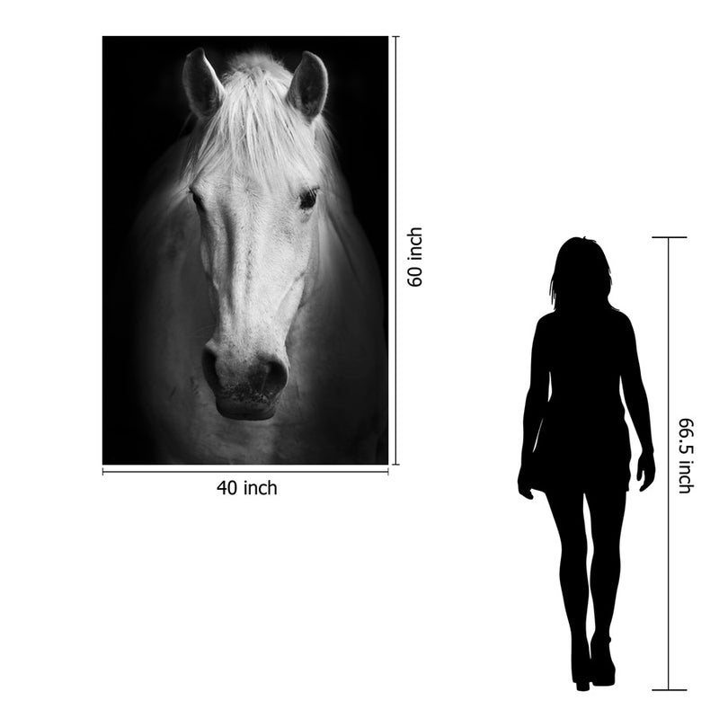 Classy Living White Horse Frameless Glass Wall Art 40"x60", Black