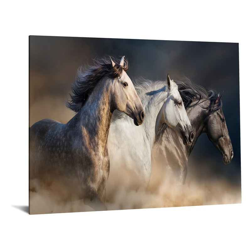 Classy Living WIId Stallion Trioless Glass Wall Art 60"x40", Multi