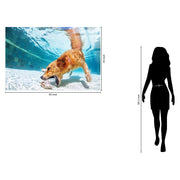 Classy Living Adventurous Poolside Retriever 40"x60", Blue/White/Tan