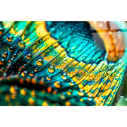 Classy Living Exquisite Iridescent, Teal/Aqua/Yellow/Gold/Black