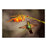 Classy Living Flutter Frameless Glass Wall Art 60"x40", Multi