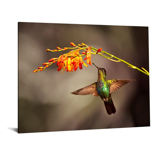 Classy Living Flutter Frameless Glass Wall Art 60"x40", Multi