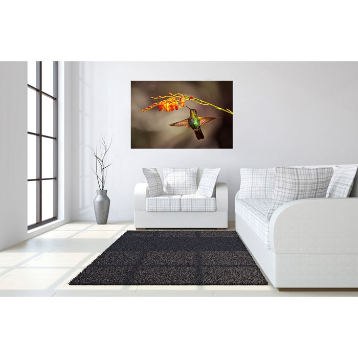 Classy Living Flutter Frameless Glass Wall Art 60"x40", Multi