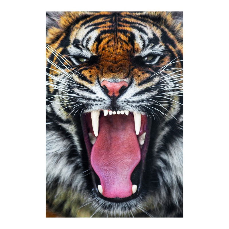 Classy Living Tigers Teeth Frameless Glass Wall Art 40"x60", Multi