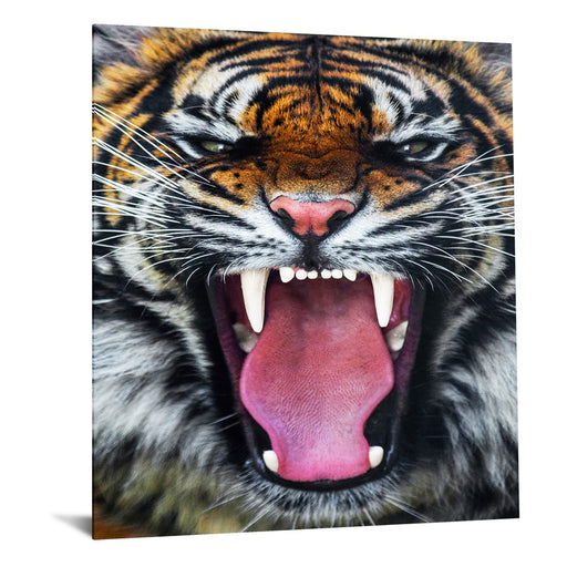 Classy Living Tigers Teeth Frameless Glass Wall Art 40"x60", Multi