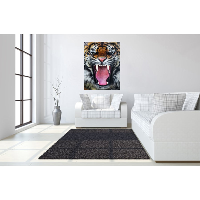 Classy Living Tigers Teeth Frameless Glass Wall Art 40"x60", Multi