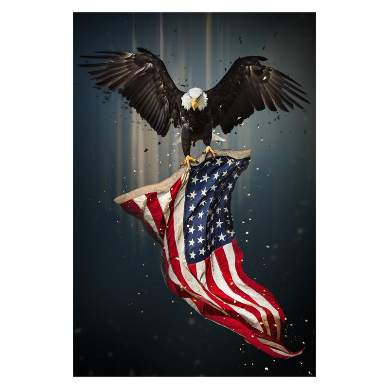 Classy Living Patriot Frameless Glass Wall Art 40"x60", Multi