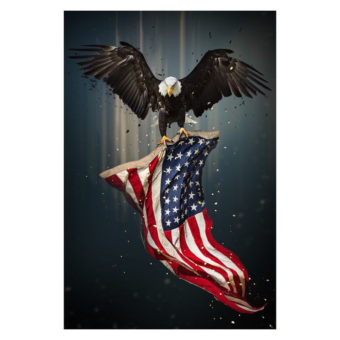 Classy Living Patriot Frameless Glass Wall Art 40"x60", Multi - SF1395