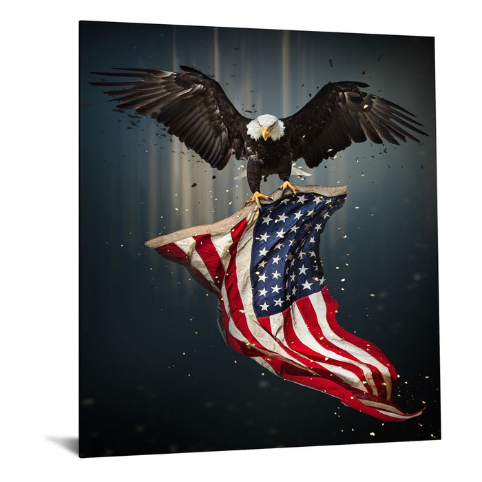 Classy Living Patriot Frameless Glass Wall Art 40"x60", Multi
